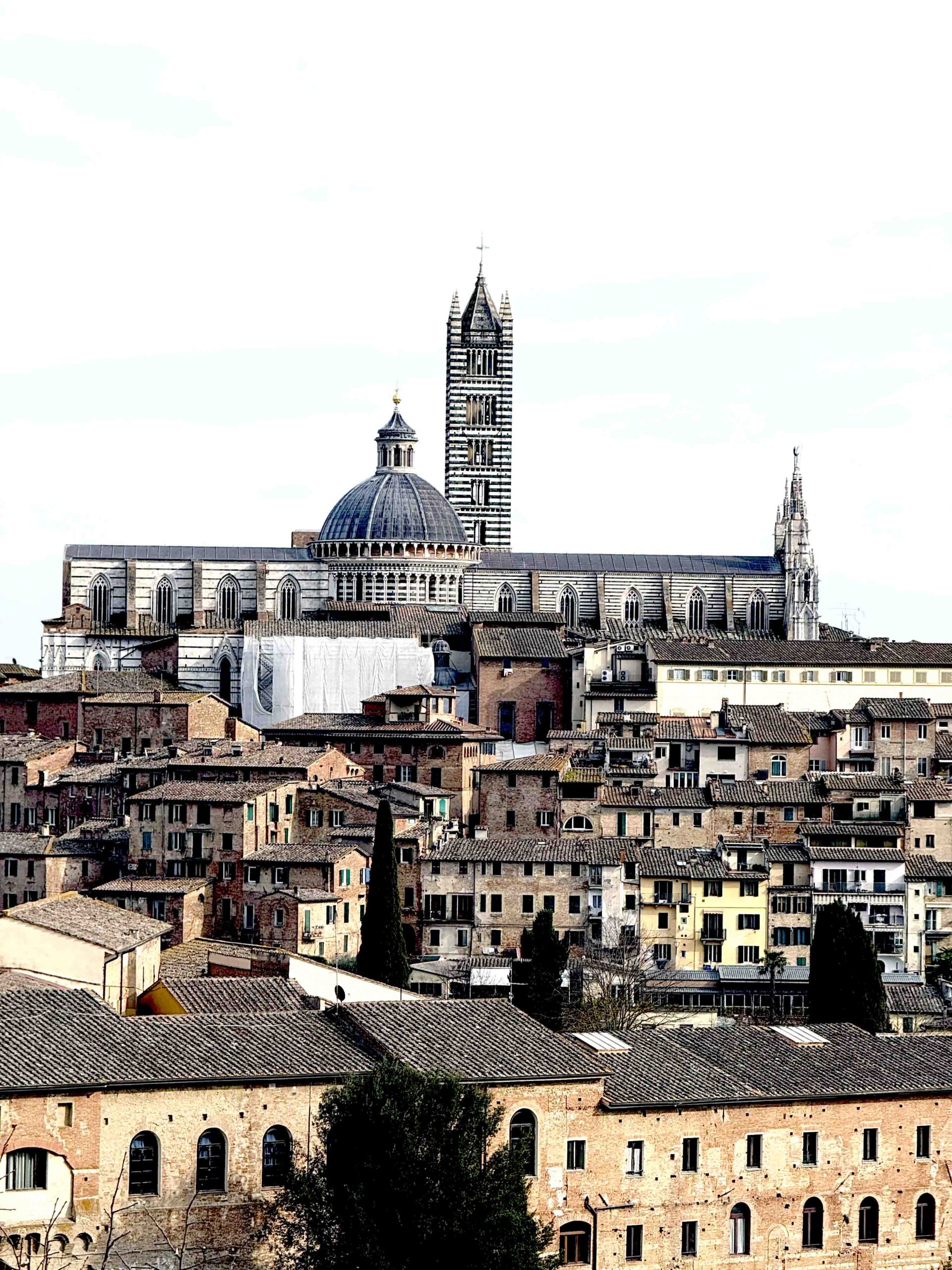 wine_tour_duomo_siena