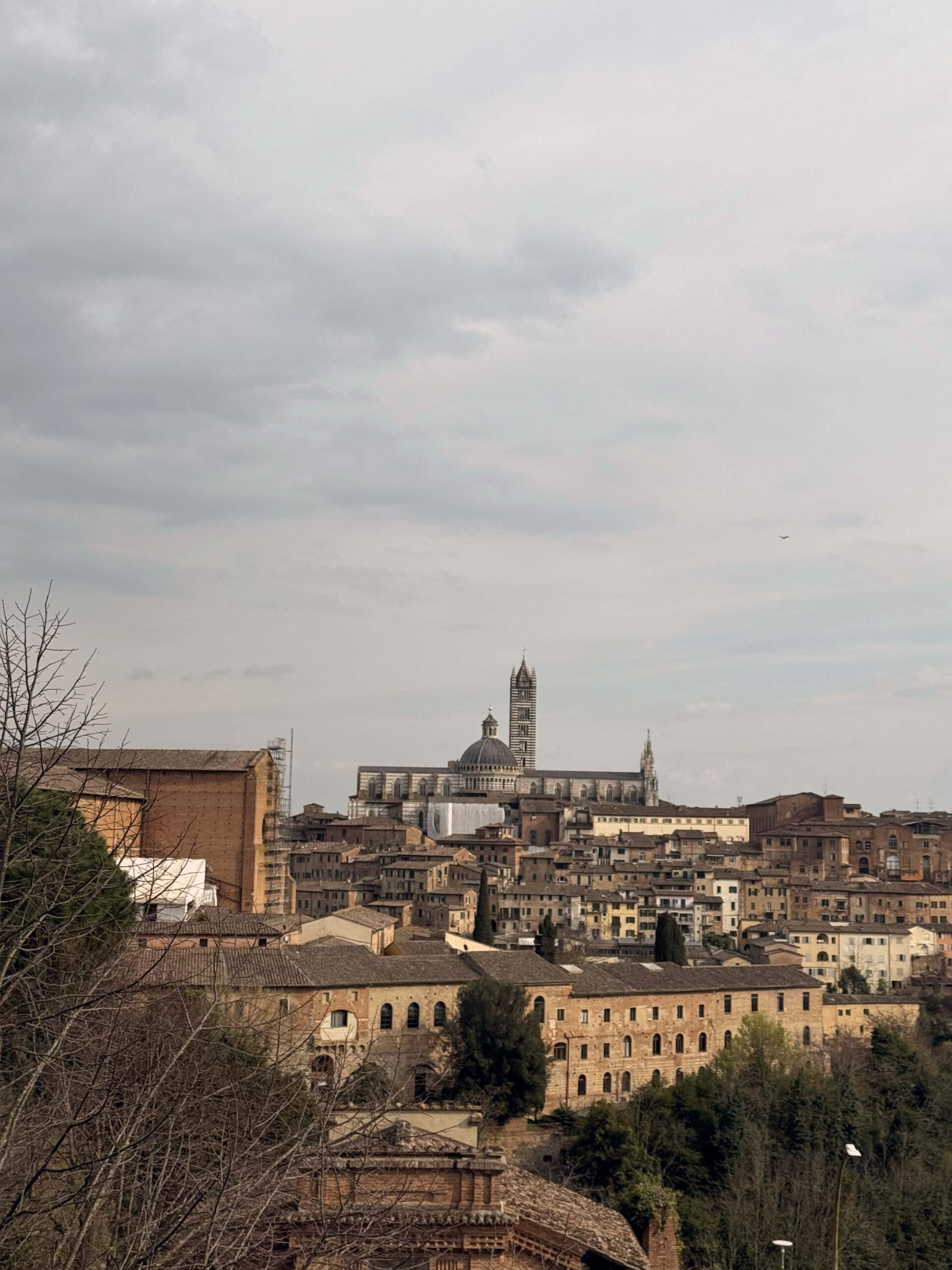 paesaggio_siena