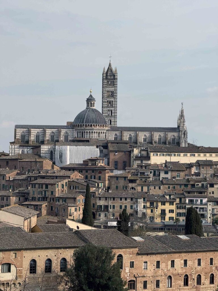 duomo_siena