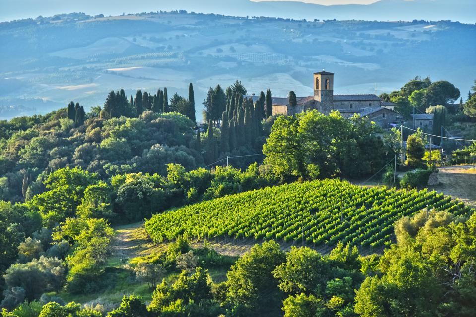 montalcino_paesaggio